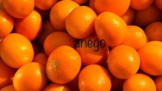 金柑の季節。冬の味